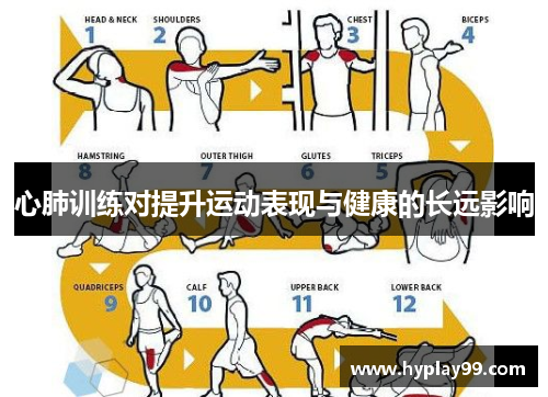 心肺训练对提升运动表现与健康的长远影响